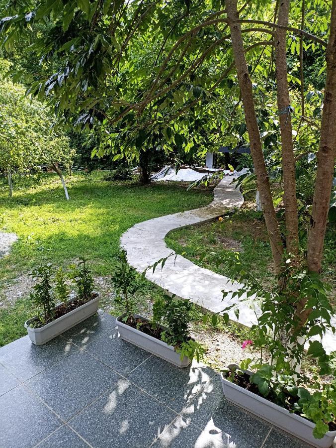 גאלבה Woodland Paradise מראה חיצוני תמונה